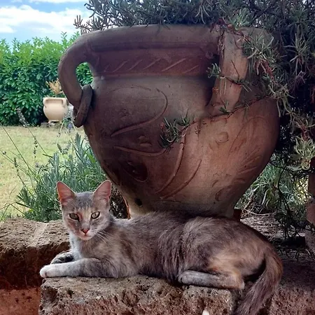 别墅 Sarkeep Luogosano